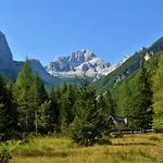 Villa Pool Katja Kranjska Gora - Happy *