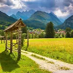 Pool Katja Kranjska Gora - Happy *