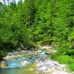 Pool Katja Kranjska Gora - Happy