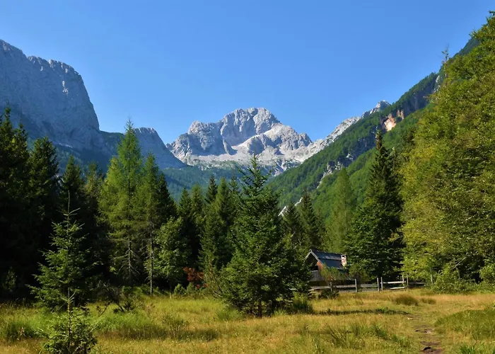 ヴィラ Pool Katja Kranjska Gora - Happy *