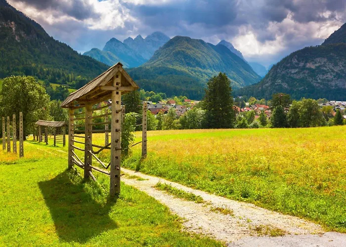 Pool Katja Kranjska Gora - Happy *