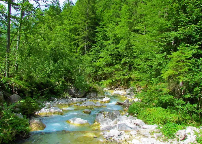 Pool Katja Kranjska Gora - Happy